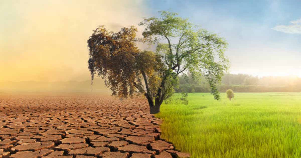 Natural Resources